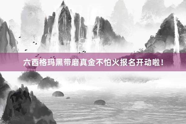 六西格玛黑带磨真金不怕火报名开动啦！