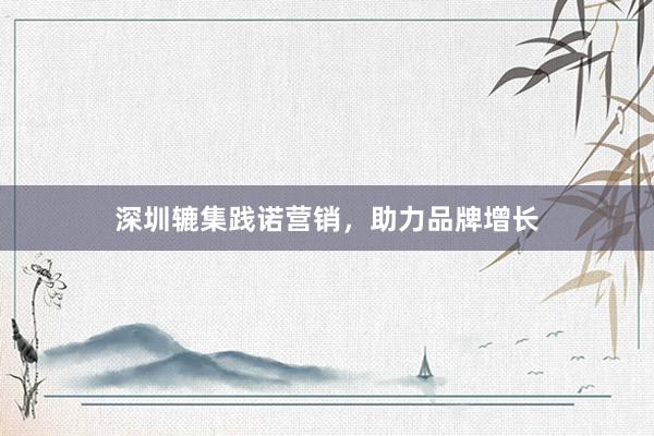 深圳辘集践诺营销，助力品牌增长