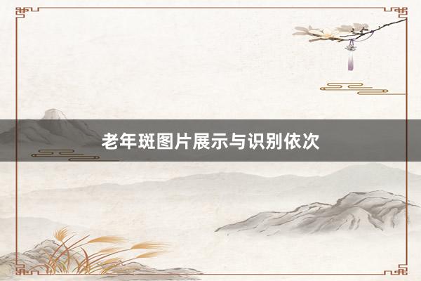 老年斑图片展示与识别依次